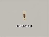 藏品(昆蟲綱)的圖片